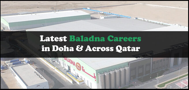 Baladna Careers Baladna Careers